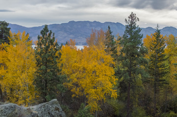Okanagan Valley in the Fall