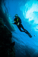 scuba diving diver woman sea underwater coral indonesia bali girl