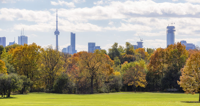 Autumn urban  landscape with Toronto skyline on the background