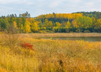 Beautiful landscape of autumnal forest near lake