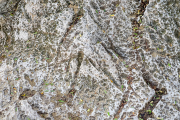 Rock texture background