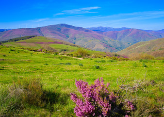 The way of Saint James in Leon pink mountains