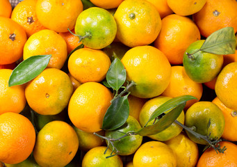 fresh mandarin oranges fruit with leaves