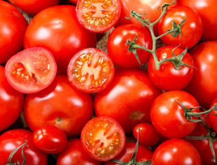 fresh red tomatoes