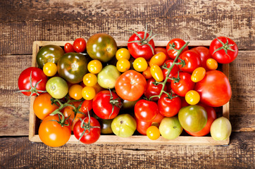 various tomatoes