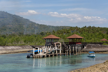 Indonesian landscape with mangrove and view point walkway