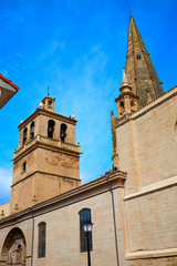 Fototapeta premium The Way of Saint James in Logrono Santa Maria