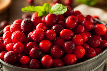 Raw Organic Red Cranberries