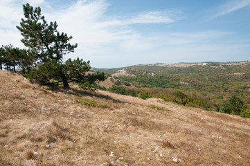 Fototapeta na wymiar Plateau on Ai-Petri mountaintop, south of Crimea