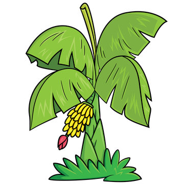 One continuous line drawing of banana tree Vector Image-saigonsouth.com.vn