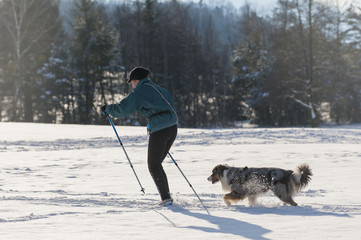 Skilanglauf mit Hund