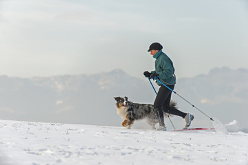 Skilanglauf mit Hund