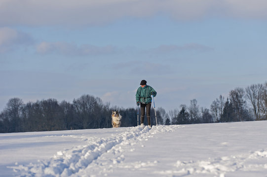 Skilanglauf mit Hund