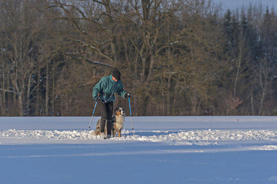 Skilanglauf mit Hund