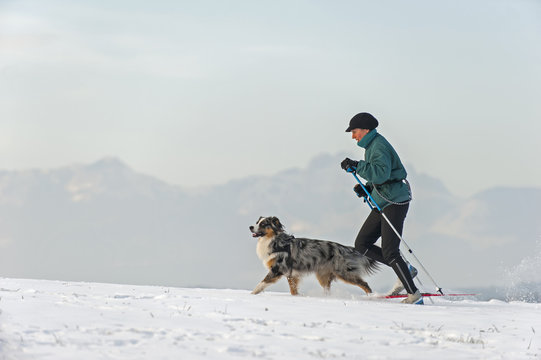 Skilanglauf mit Hund