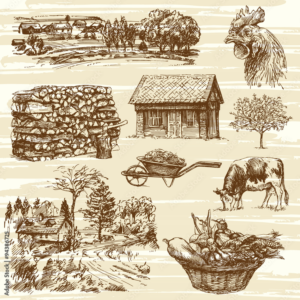 Wall mural farm, harvest, rural landscape - hand drawn set