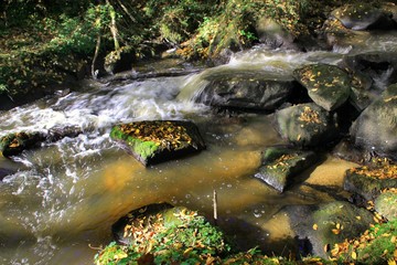 Cours d'eau en automne.