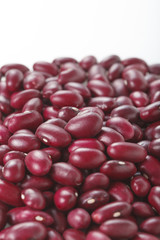 金時豆　Red kidney bean
