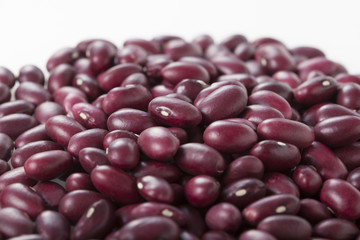 金時豆　Red kidney bean
