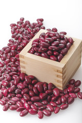 金時豆　Red kidney bean
