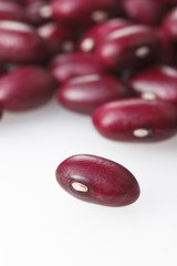 金時豆　Red kidney bean