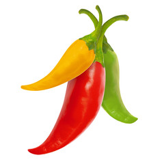 Multicolor hot chili peppers