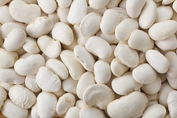 白花豆　Scarlet runner bean