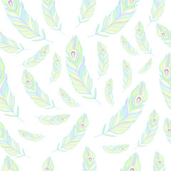 Peacock Feathers Seamless Pattern Vector Illustration.