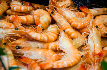 Pink and Red Shrimps prawns