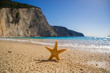 Fototapeta na wymiar Starfish on Porto Katsiki beach on Ionian Sea Lefkada