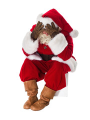 Santa Claus Portrait