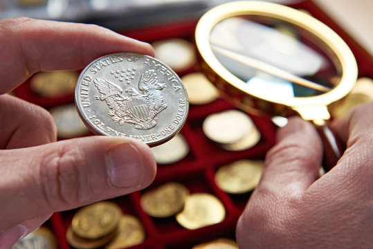 American dollar in hands of numismatist