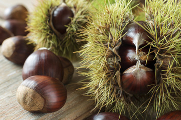 Châtaigne et Tradition