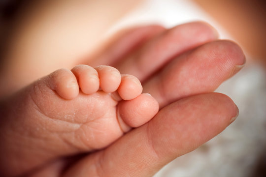 Newborn baby feet in mother hands