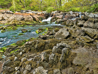 Fresh water stream flowing into salt water
