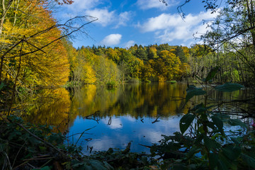 Herbststimmung am See mit Spiegelungen im Wasser