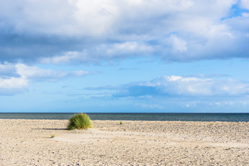 menschenleerer Strand