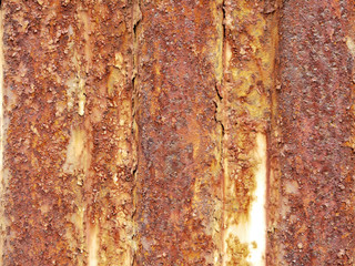 Old door rusty texture