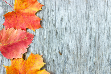 Naklejka na ściany i meble Old wooden background and autumnal leaves