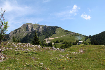 Fototapeta na wymiar Schafberg, Austrian Alps / Colorful species in the area of Schafberg (Austria).