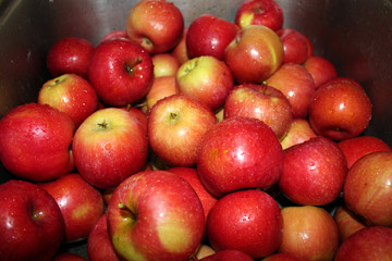 Apples in Sink Basin