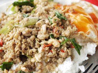 stir fried pork with basil and egg served with rice