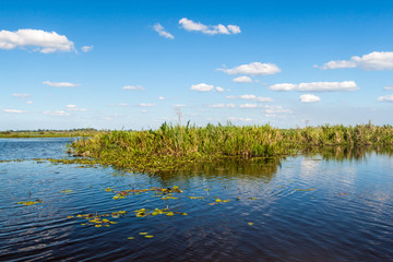 Wetlands in Nature Reserve Esteros del Ibera, Argentina