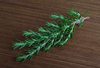 Rosemary branch
