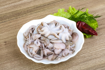 Raw baby octopus