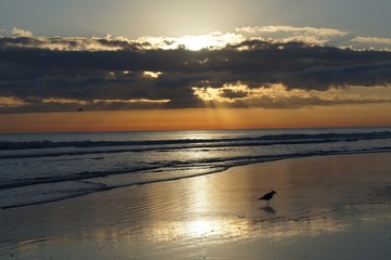 New Smyrna, Florida