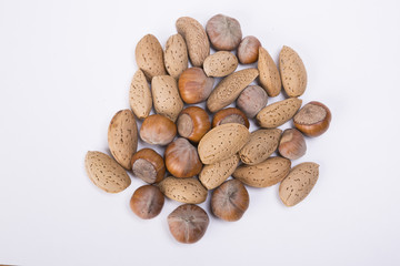 isolated brown nuts