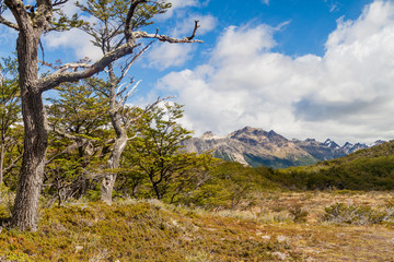 Nature in Tierra del Fuego, Argentina