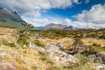 Nature in Tierra del Fuego, Argentina