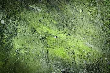 Designed grunge paper